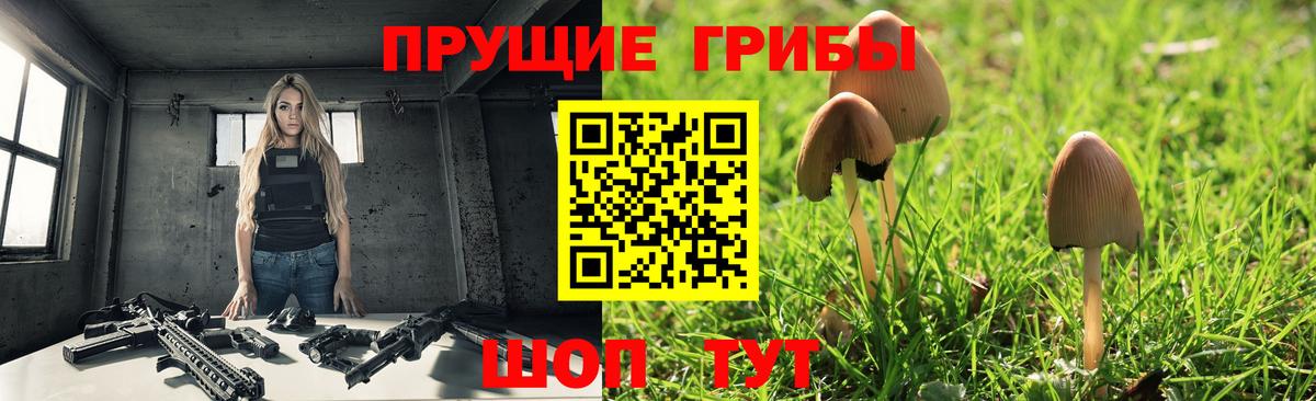 Псилоцибиновые грибы ЛСД  Вход с VPN  Псилоцибиновые грибы Psilocybe  Дзержинский 